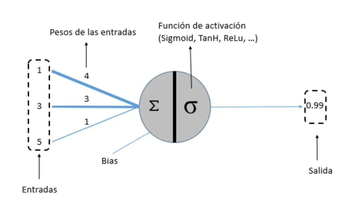 Diagrama de una neurona artificial: entradas con pesos, suma ponderada con sesgo y función de activación que produce la salida
